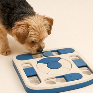 Interactive Pet Treat Puzzle
