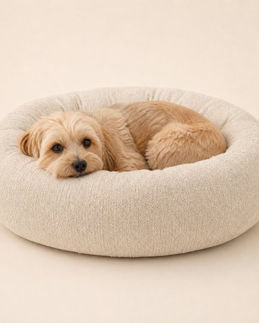 Washable Donut Pet Bed